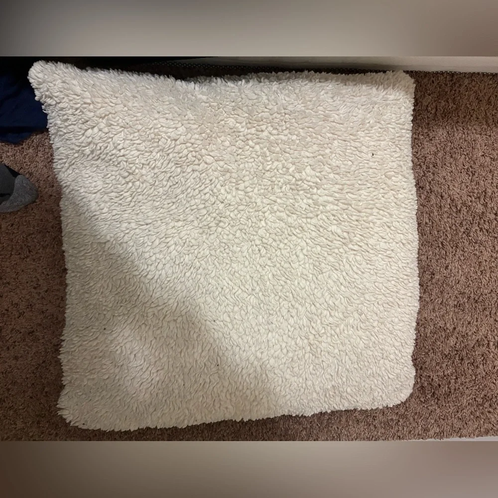 Pottery barn pillow case
